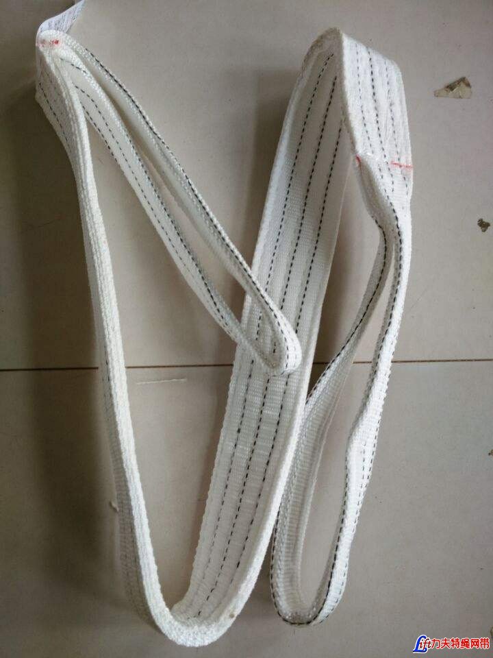 Polyester Flat Web Slings (Belt slings with reinforced eyes)