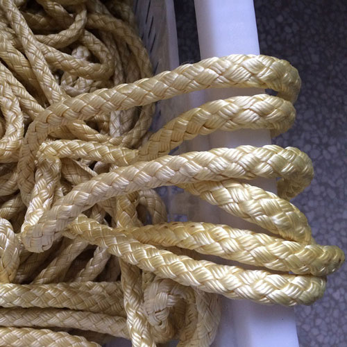 <strong>Paper Making Guiding Rope</strong>